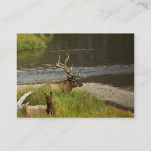 Yellowstone Mates Mini Print Visitenkarte