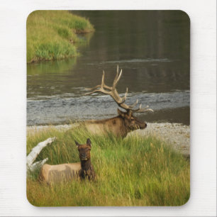 Yellowstone Mates Mousepad