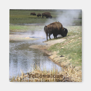 Yellowstone National Park Square Magnet