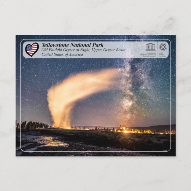 Yellowstone Nationalpark - Alter treuer Geyser Postkarte (Vorderseite)