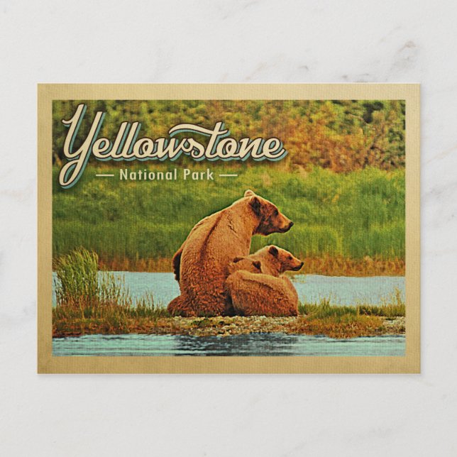Yellowstone Nationalpark Bears Vintag Postkarte (Vorderseite)