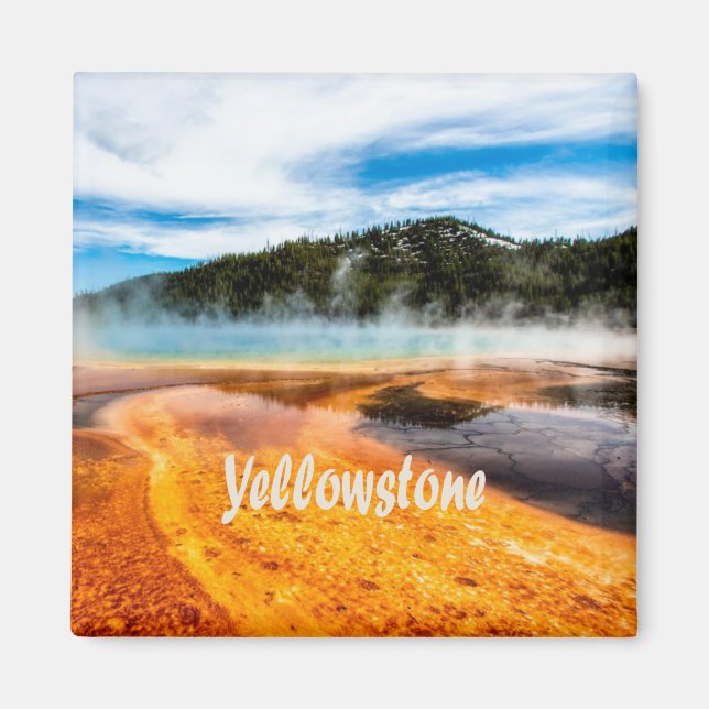Yellowstone Nationalpark Berge Naturtiere Magnet (Vorne)