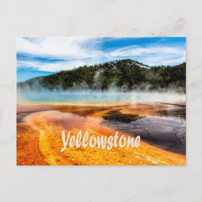 Yellowstone Nationalpark Berge Naturtiere Postkarte (Vorderseite)