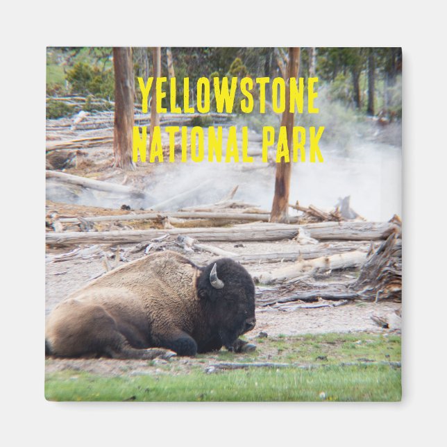 Yellowstone Nationalpark Bison Magnet (Vorne)