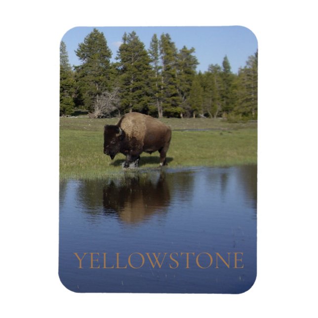 Yellowstone Nationalpark Bison Magnet (Vertikal)