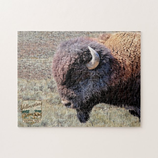 Yellowstone-Nationalpark-Bison-Rätsel (Horizontal)