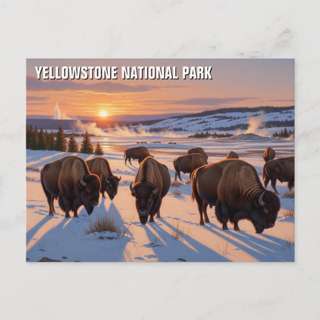 Yellowstone Nationalpark biss Postkarte (Vorderseite)
