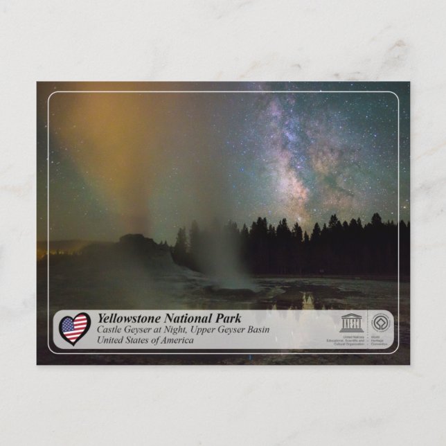 Yellowstone Nationalpark - Burg Geyser Postkarte (Vorderseite)