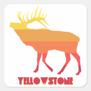 Yellowstone Nationalpark Elk Quadratischer Aufkleber