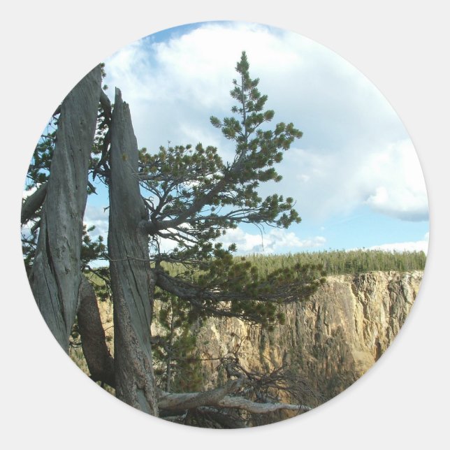 Yellowstone Nationalpark Fotografie Runder Aufkleber (Vorderseite)