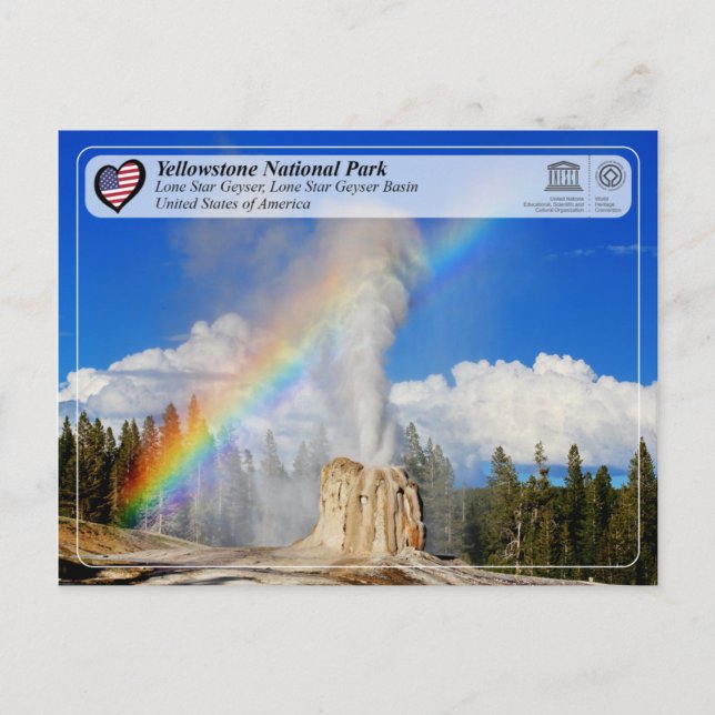 Yellowstone Nationalpark - Lone Star Geyser Postkarte (Vorderseite)