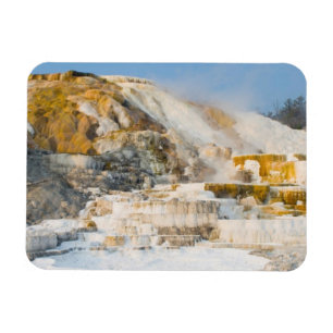 Yellowstone-Nationalpark Magnet