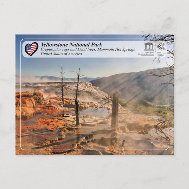 Yellowstone Nationalpark - Mammoth Hot Springs Postkarte (Vorderseite)