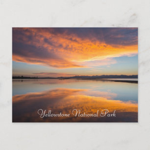 Yellowstone Nationalpark Montana Postkarte