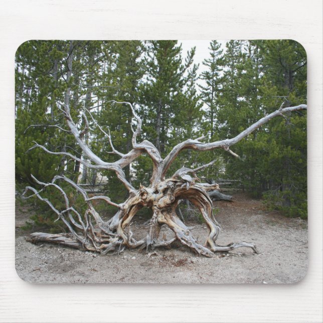 Yellowstone Nationalpark Mouse Pad Mousepad (Vorne)