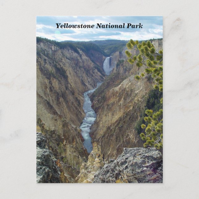 Yellowstone Nationalpark Postcard Postkarte (Vorderseite)