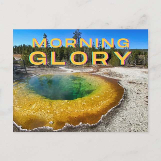 Yellowstone Nationalpark Postcard Postkarte (Vorderseite)