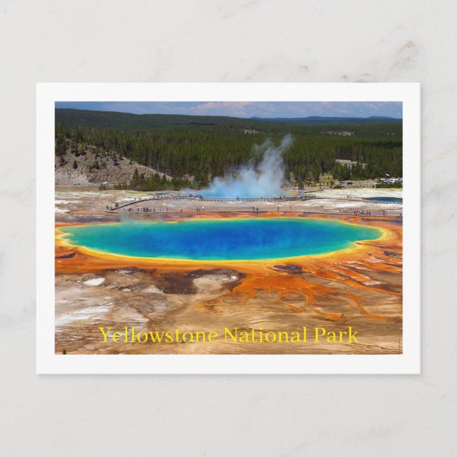 Yellowstone Nationalpark Postcard Postkarte (Vorderseite)