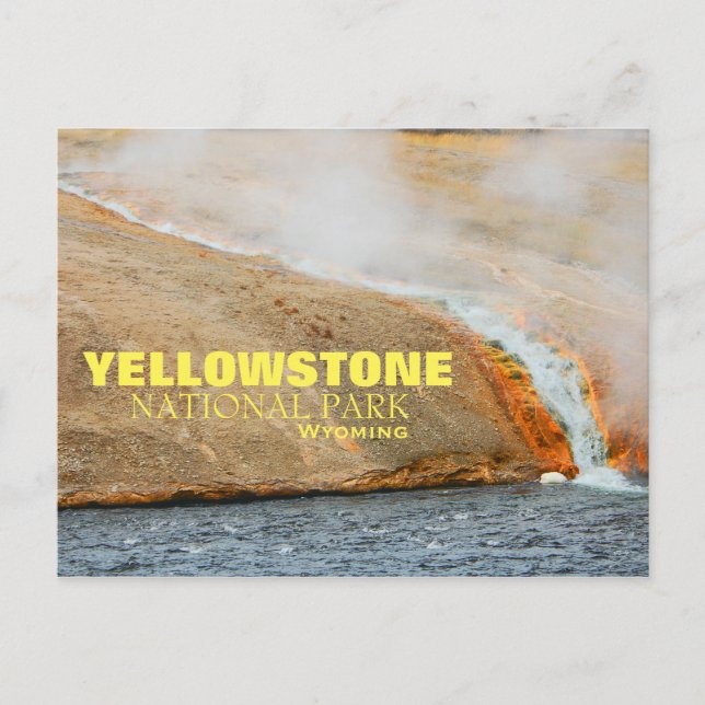 Yellowstone Nationalpark Postcard Postkarte (Vorderseite)