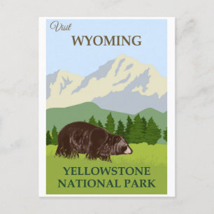 Yellowstone Nationalpark Postcard Postkarte