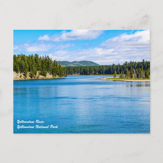 Yellowstone Nationalpark Postcard Postkarte (Vorderseite)
