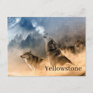 Yellowstone Nationalpark Postcard Postkarte