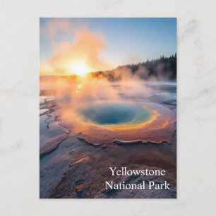 Yellowstone-Nationalpark Postkarte