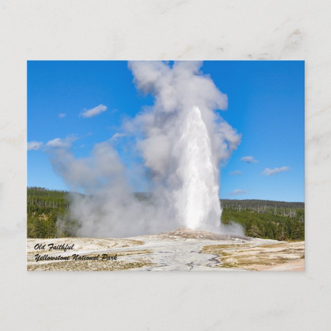 Yellowstone-Nationalpark Postkarte (Vorderseite)