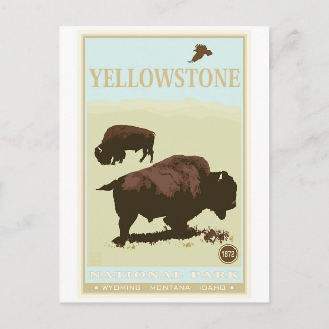 Yellowstone-Nationalpark Postkarte (Vorderseite)