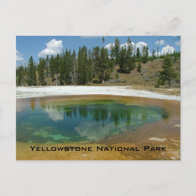 Yellowstone-Nationalpark Postkarte (Vorderseite)