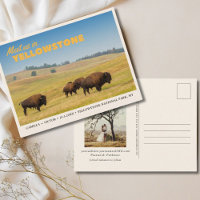 Yellowstone Nationalpark Save the Date Postcard