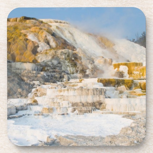 Yellowstone Nationalpark Untersetzer (Vorderseite)