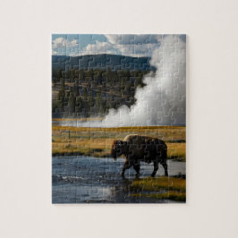 Yellowstone Nationalpark, USA