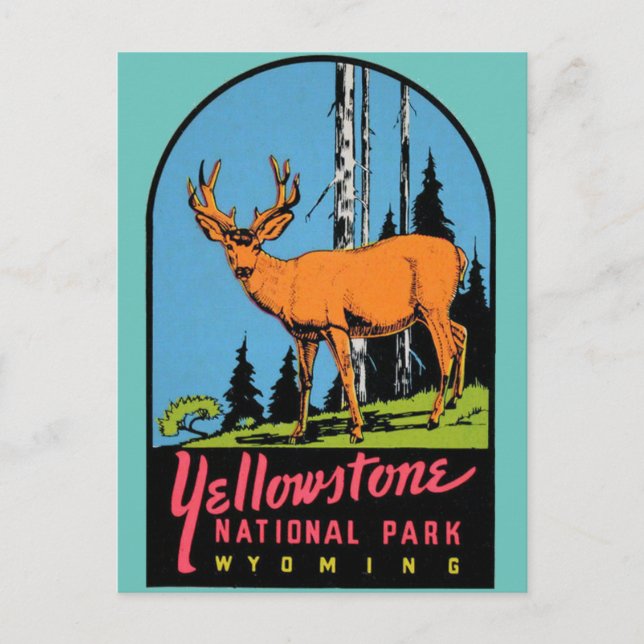 Yellowstone Nationalpark Vintage Postkarte (Vorderseite)