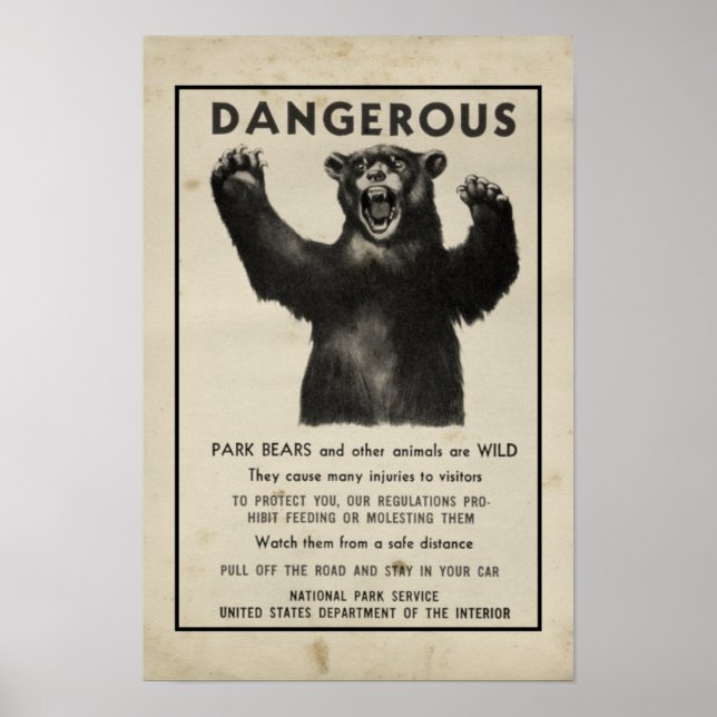 Yellowstone Park 1959 Gefährlicher Bär Poster (Vorne)