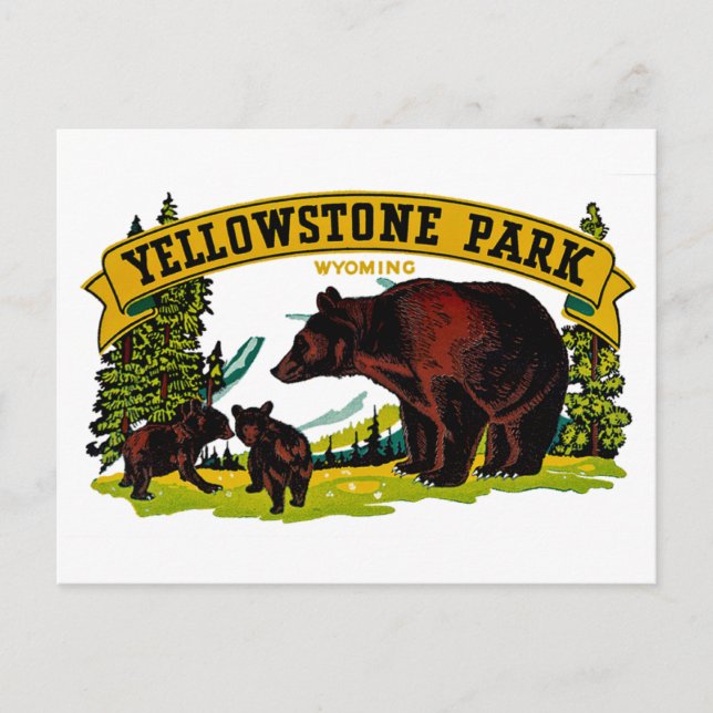 Yellowstone Park Postkarte (Vorderseite)