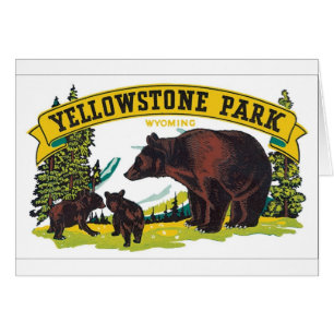 Yellowstone Park, Wyoming