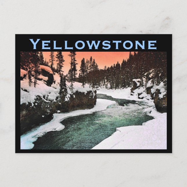Yellowstone Postkarte (Vorderseite)