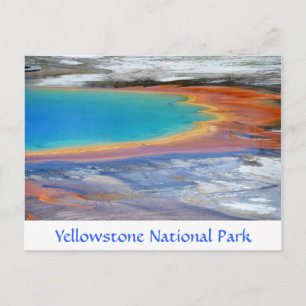 Yellowstone Prismatic Spring Carte postale Wyoming