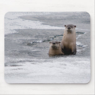 Yellowstone River Otter Mousepad