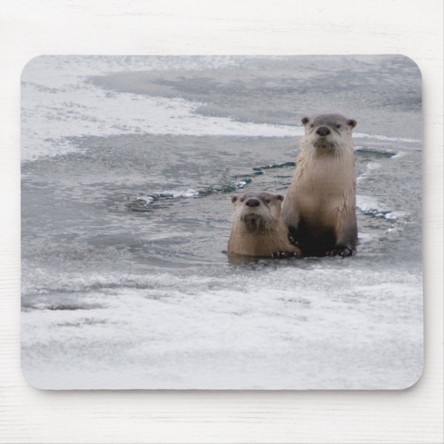 Yellowstone River Otter Mousepad (Vorne)