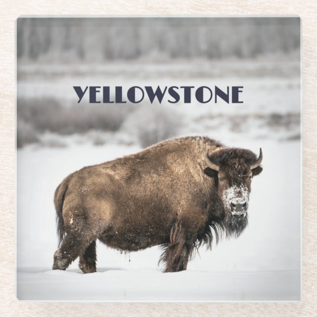 Yellowstone Snowy Buffalo Souvenir Glass Untersetz Glasuntersetzer (Vorderseite)
