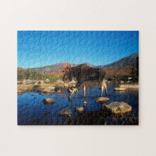 Yellowstone Spielpuzzle