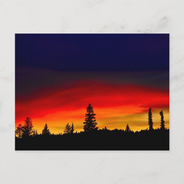 Yellowstone Sunset Postkarte (Vorderseite)
