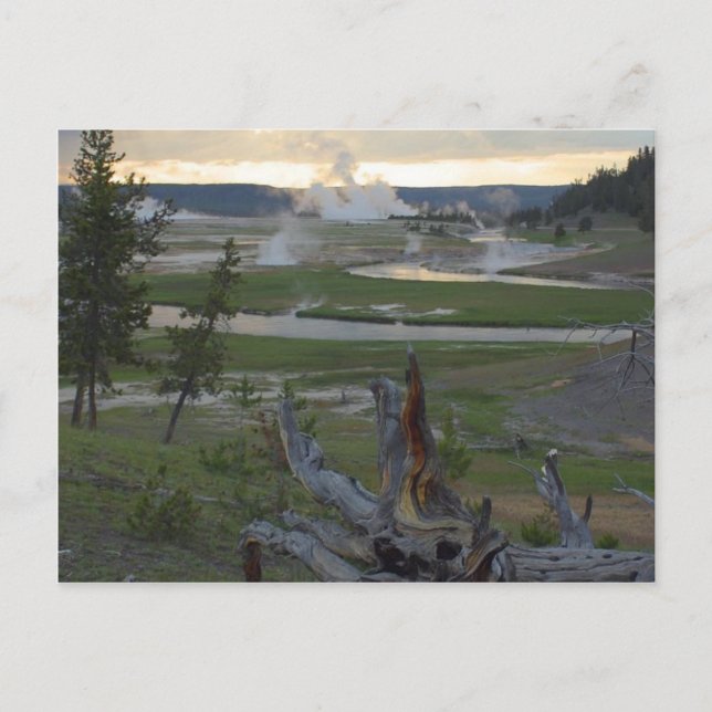 Yellowstone Sunsets Postkarte (Vorderseite)