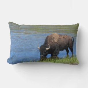 Yellowstone Wild Buffalo im Teich Lendenkissen
