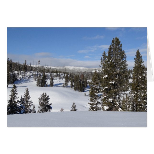 Yellowstone Winterlandschaft Fotografie (Vorderseite (Horizontal))