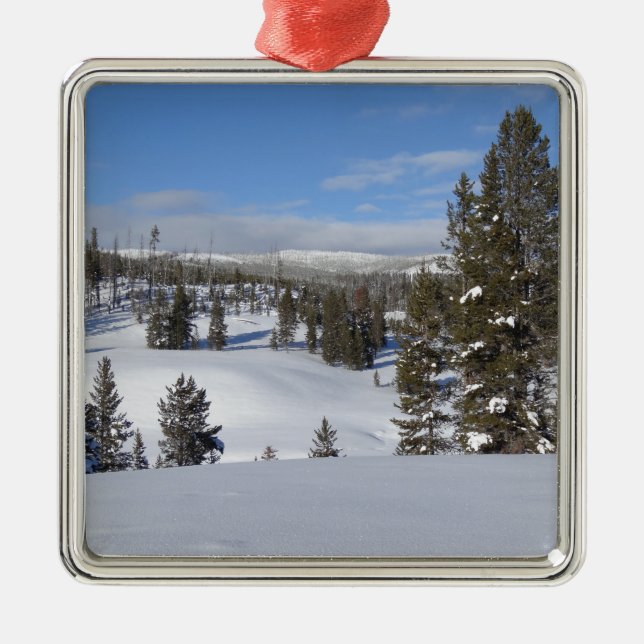 Yellowstone Winterlandschaft Fotografie Silbernes Ornament (Vorne)