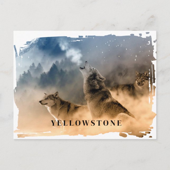Yellowstone Wolf Postcard Postkarte (Vorderseite)