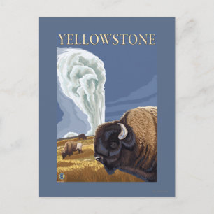 YellowstoneBison mit Alt Treu Postkarte